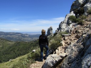 IMG_6432 (Medium)